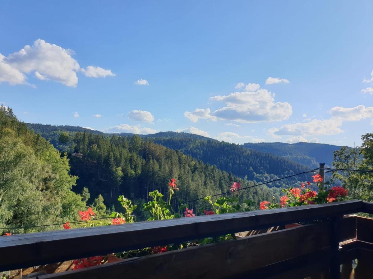 Landhaus Valentin Leilighet Triberg im Schwarzwald Eksteriør bilde