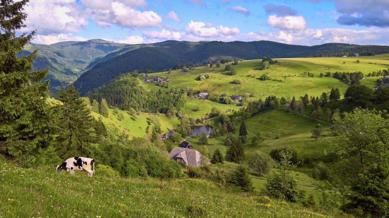 Landhaus Valentin Leilighet Triberg im Schwarzwald Eksteriør bilde