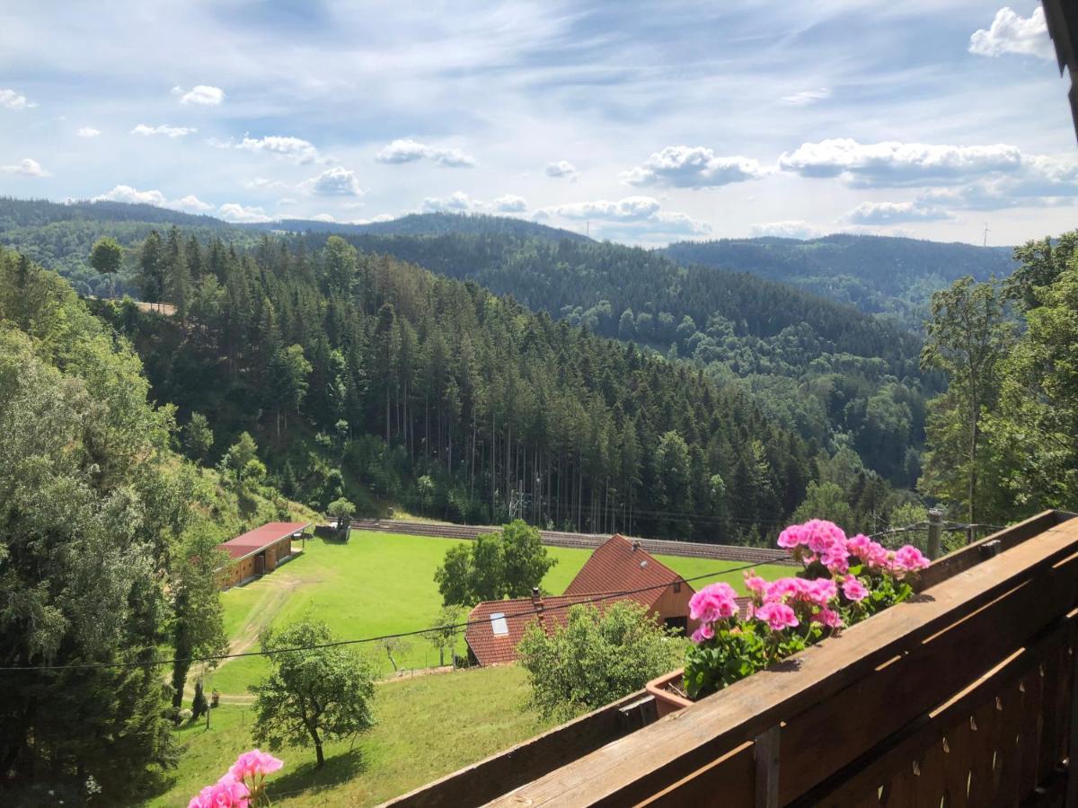 Landhaus Valentin Leilighet Triberg im Schwarzwald Eksteriør bilde