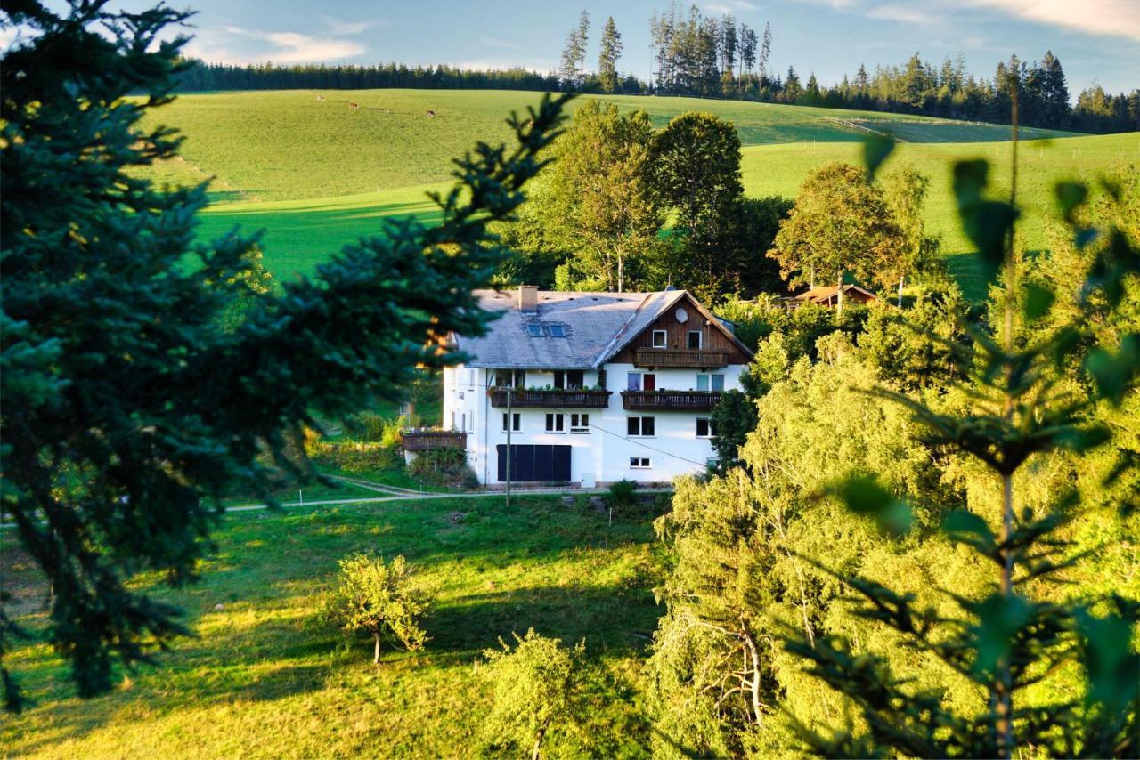 Landhaus Valentin Leilighet Triberg im Schwarzwald Eksteriør bilde