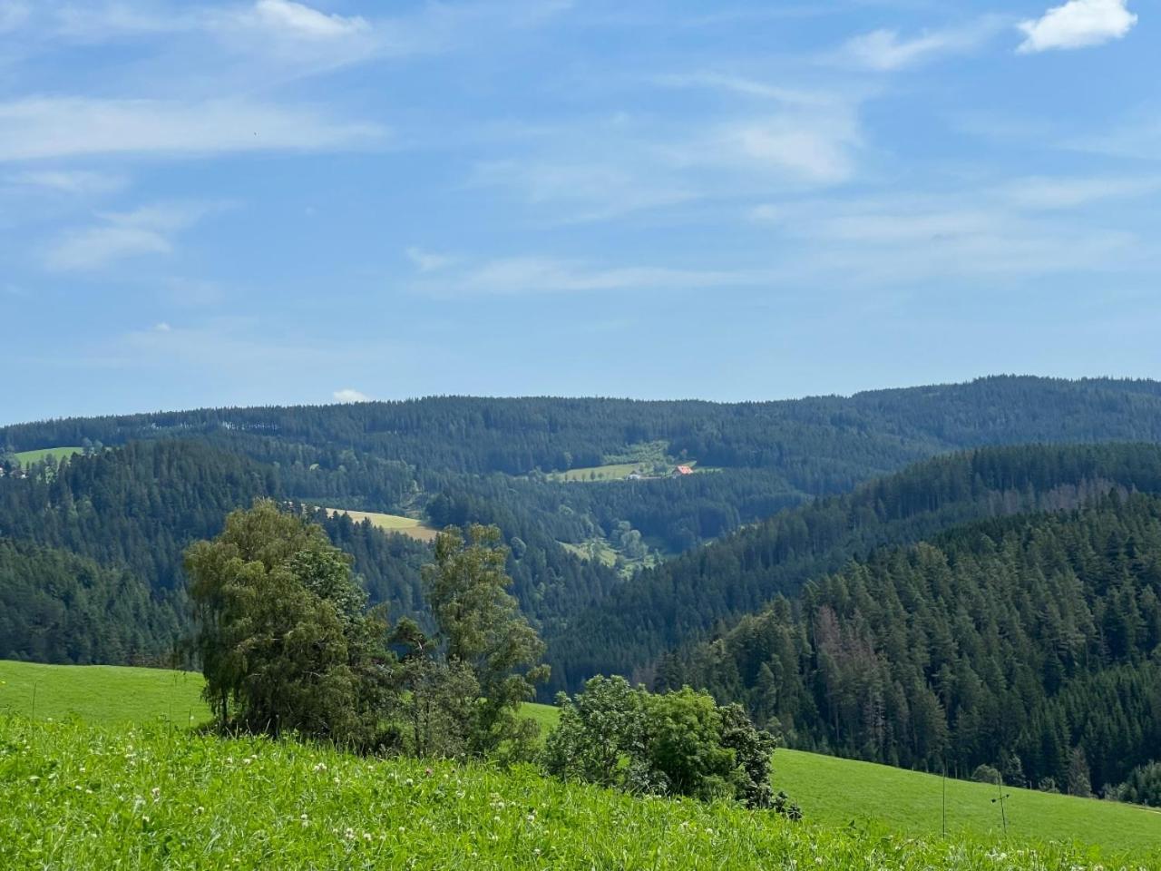 Landhaus Valentin Leilighet Triberg im Schwarzwald Eksteriør bilde