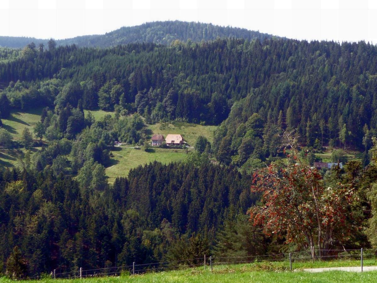 Landhaus Valentin Leilighet Triberg im Schwarzwald Eksteriør bilde