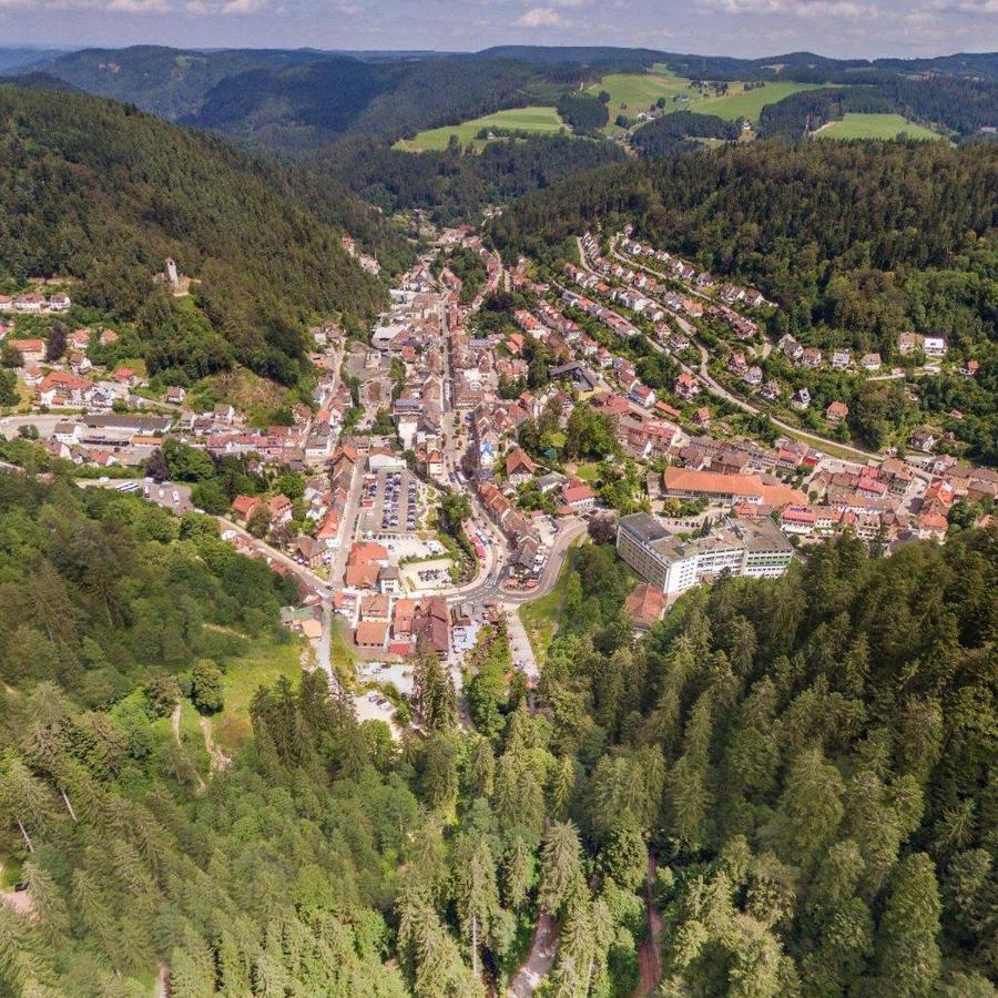 Landhaus Valentin Leilighet Triberg im Schwarzwald Eksteriør bilde